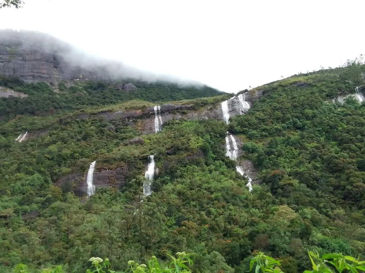 Dilani Adamspeak Riverstay Nallathanniya Sri Lanka